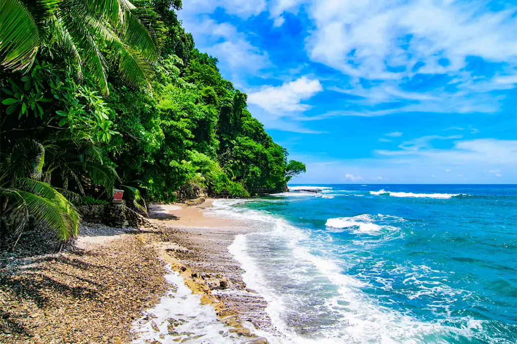 Best Time to Visit Costa Rica 2024/2025 Travel Advisor